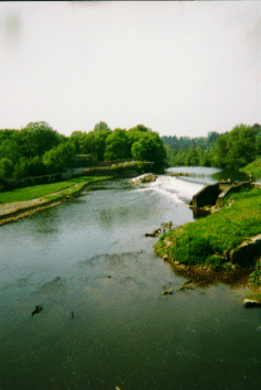 THE FAMOUS LUCAN WEIR